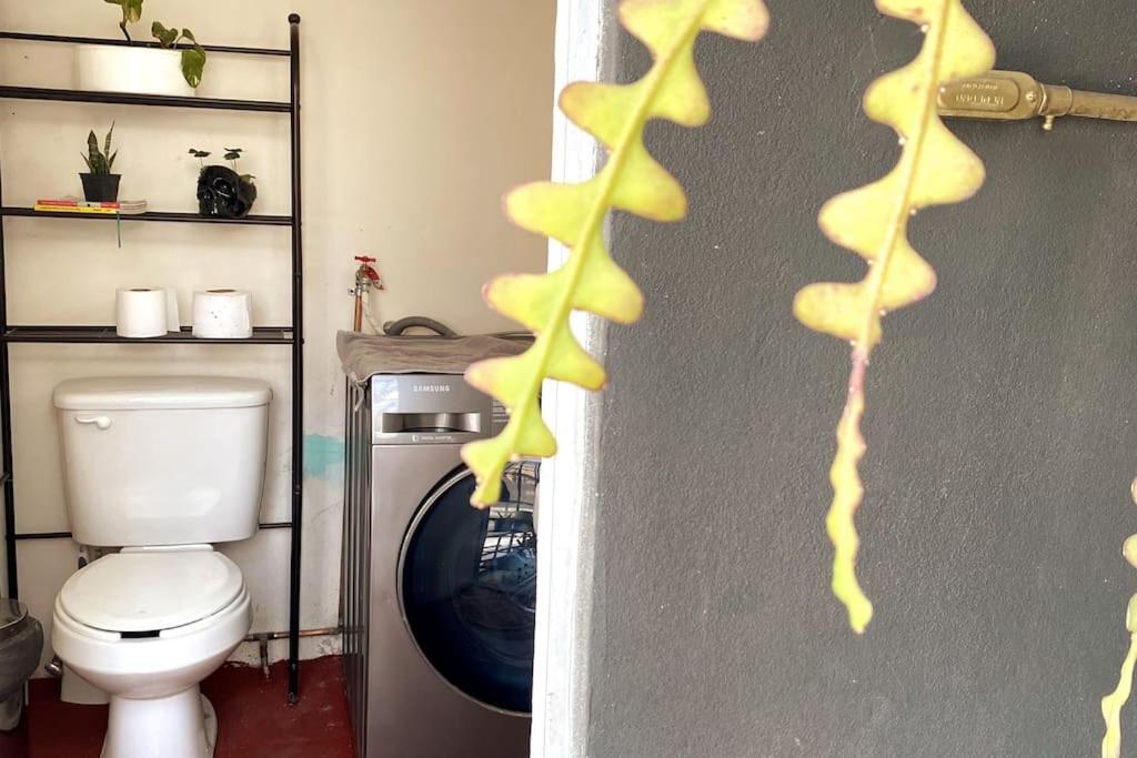 Stunning With Spacious Private Rooftop! Mexico City