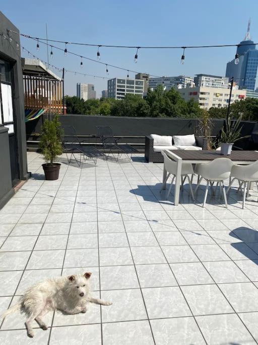Stunning With Spacious Private Rooftop! Apartment